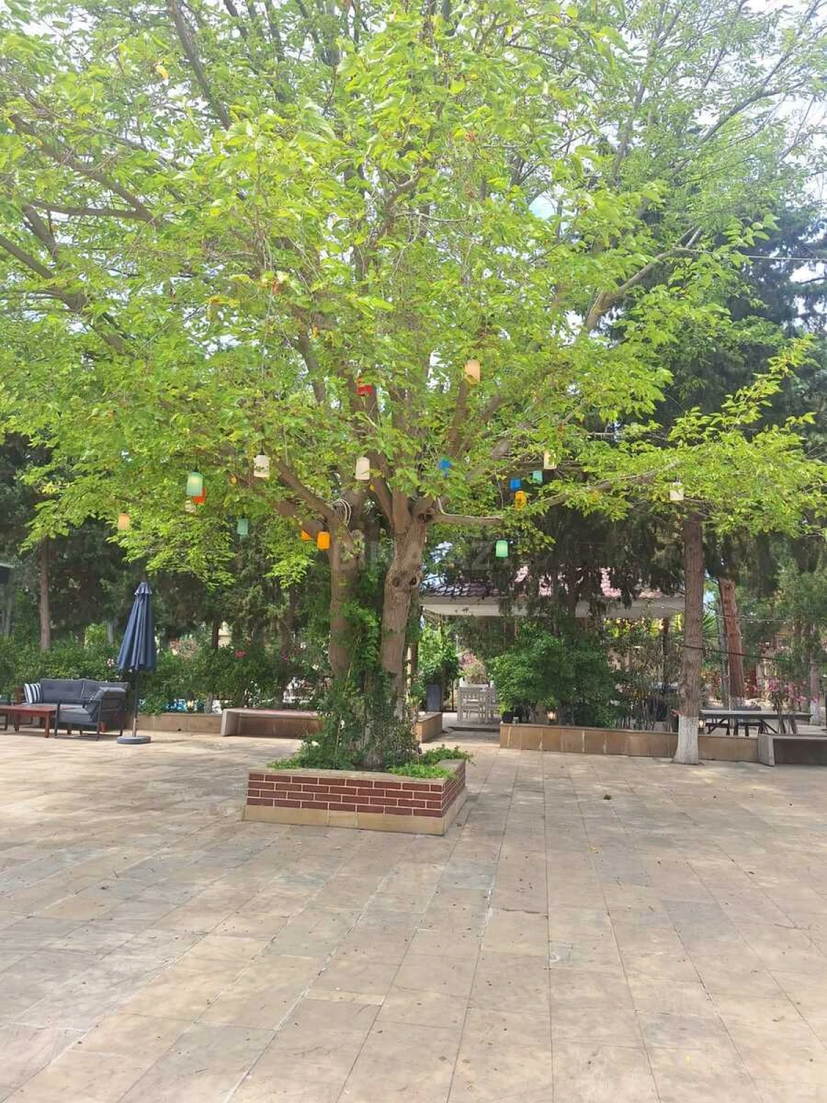 Satılır 4 otaqlı həyət evi 250 m²