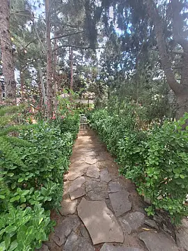 Satılır 4 otaqlı həyət evi 250 m²