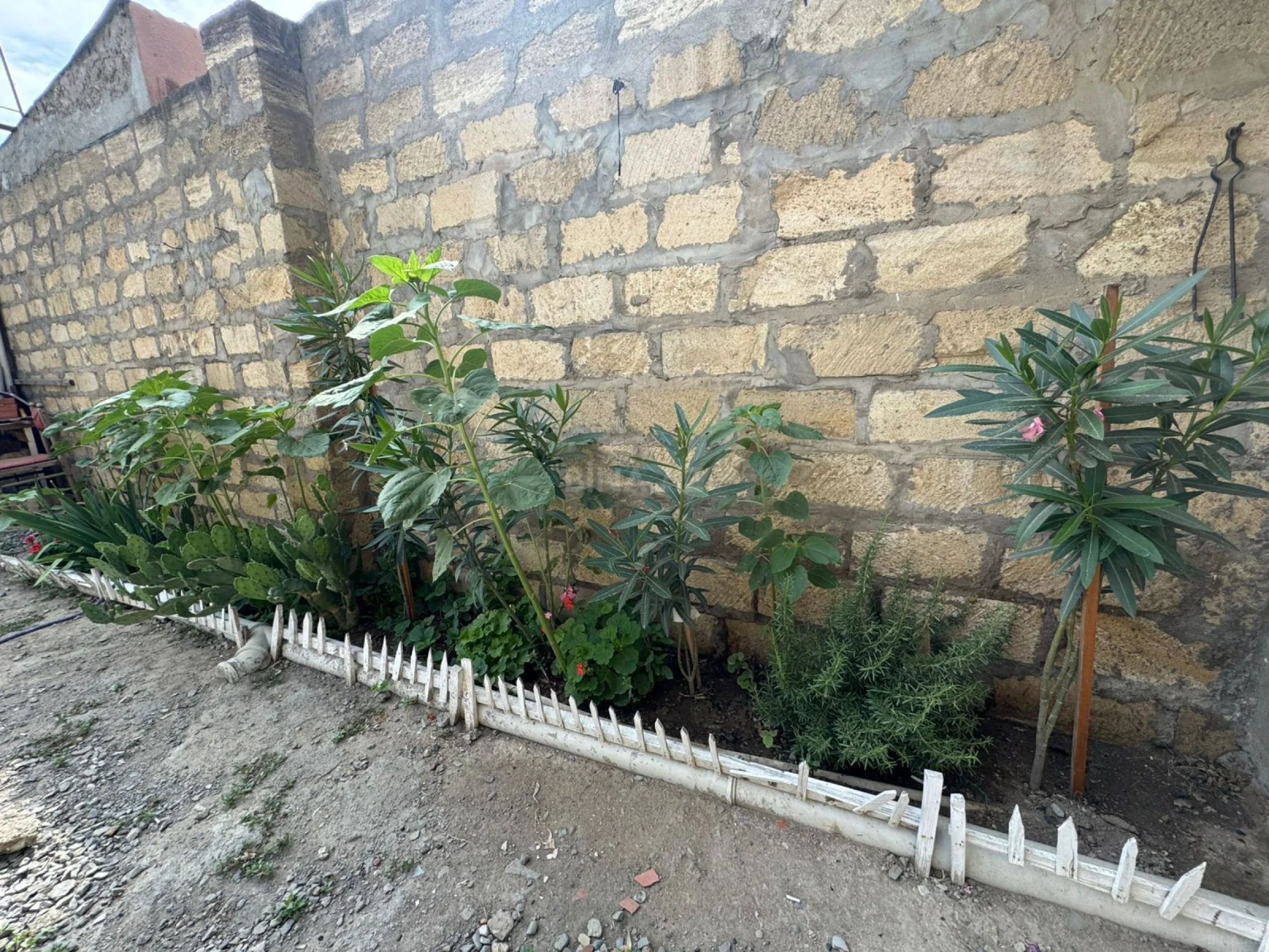 Satılır 5 otaqlı həyət evi 200 m²