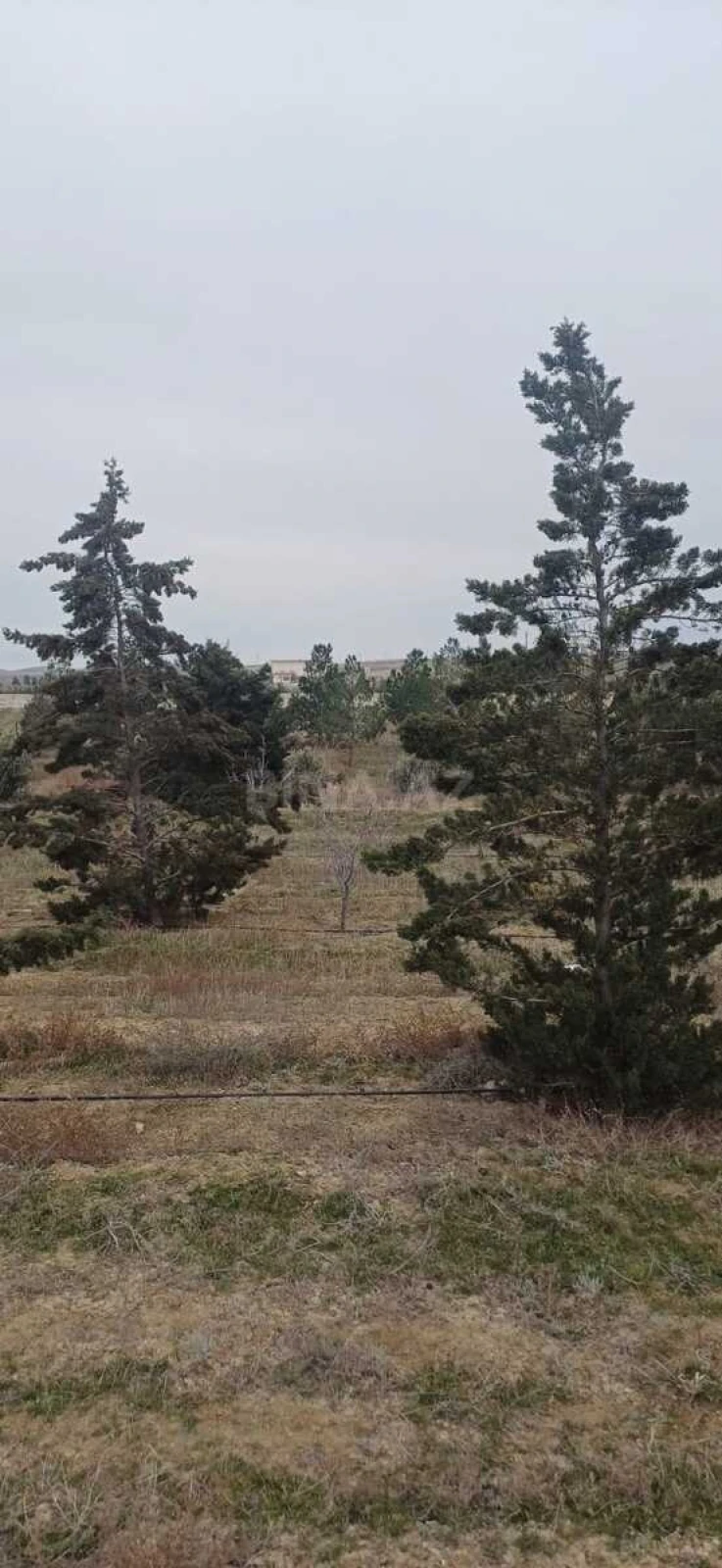 Satılır torpaq sahəsi 500 m²