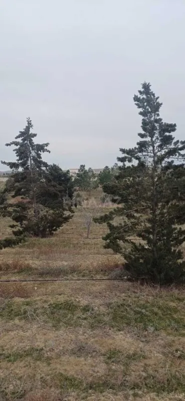 Satılır torpaq sahəsi 500 m²