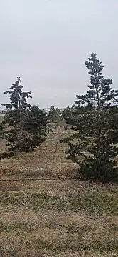 Satılır torpaq sahəsi 500 m²