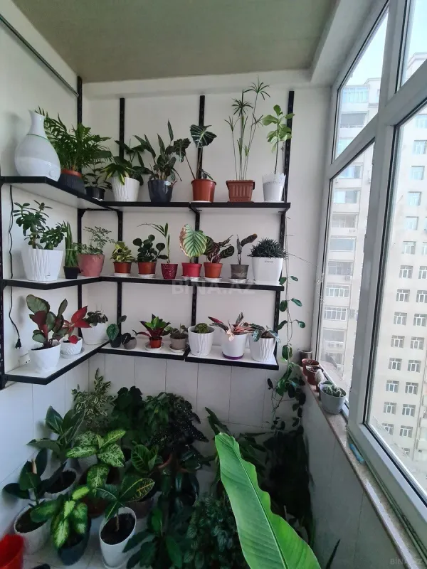 Satılır 3 otaqlı mənzil 165 m²