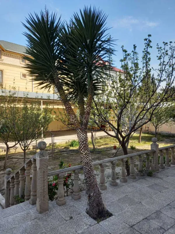 Satılır 8 otaqlı həyət evi 350 m²