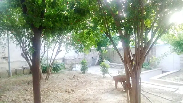 Kirayə verilir 2 otaqlı həyət evi 75 m²