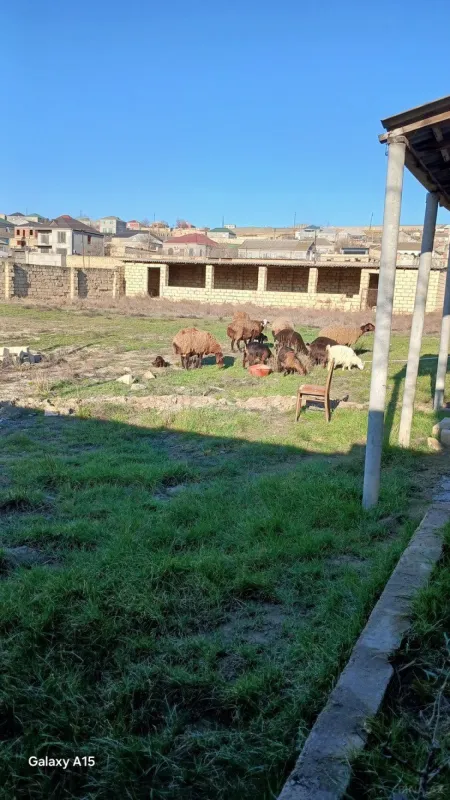 Satılır torpaq sahəsi 12 m²