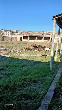 Satılır torpaq sahəsi 12 m² — Bakı, Digah 12.00 m²