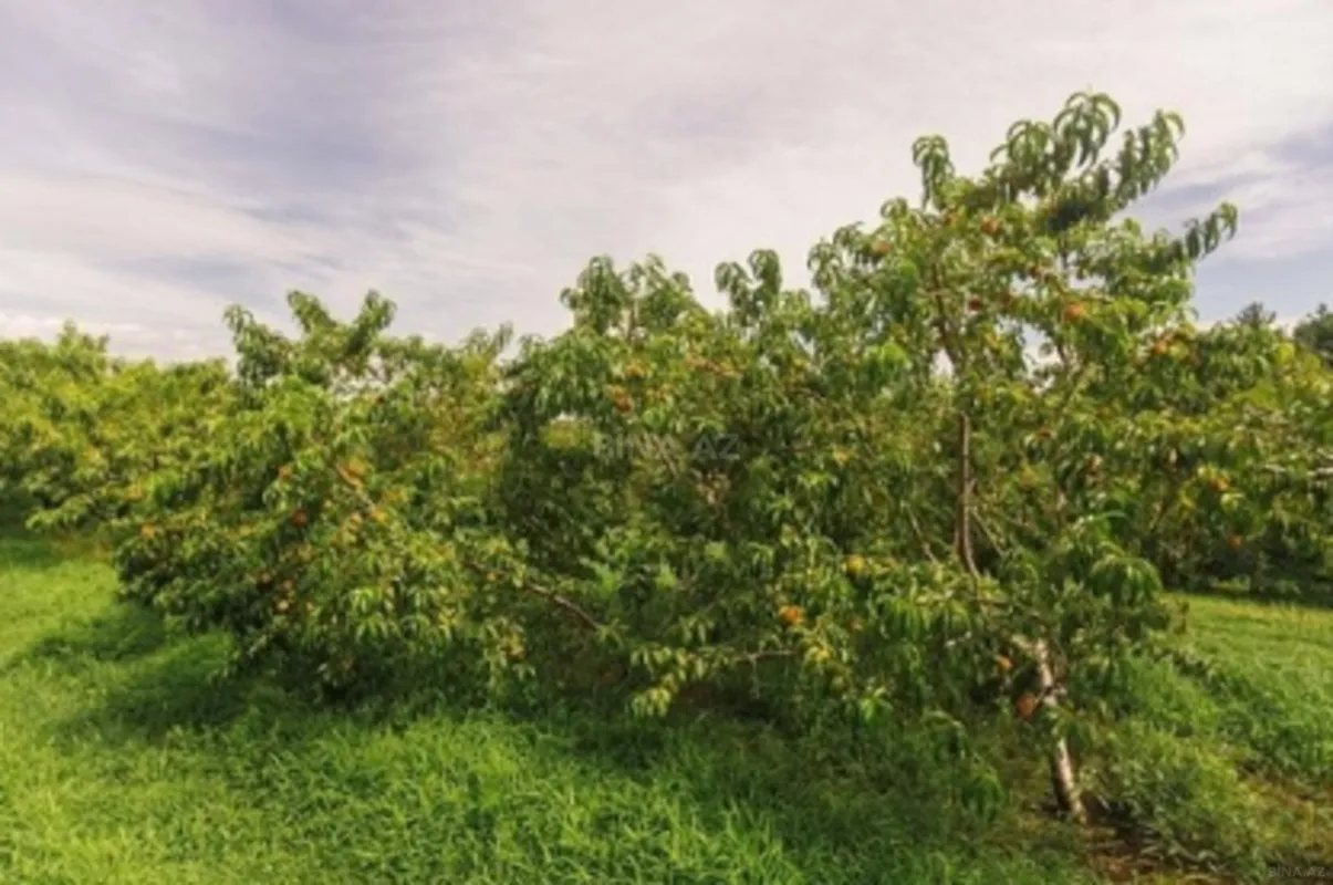 Satılır torpaq sahəsi 96 m²