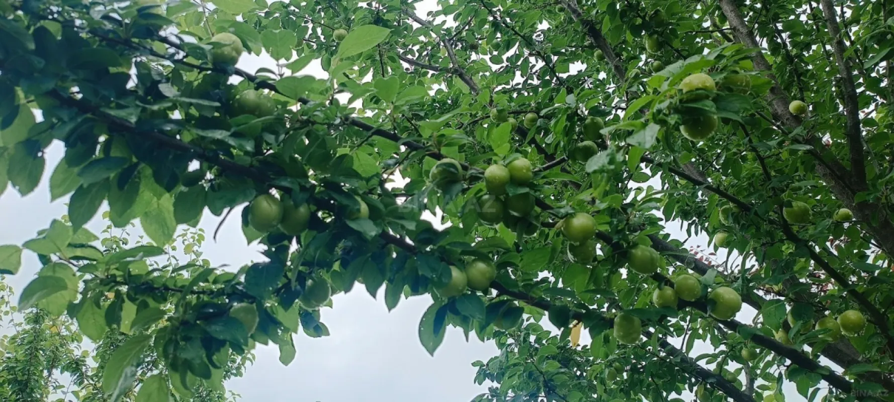 Satılır torpaq sahəsi 150 m²