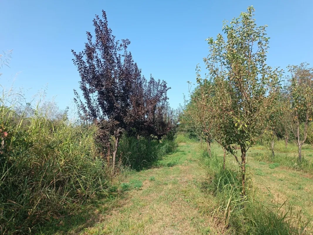 Satılır torpaq sahəsi 150 m²