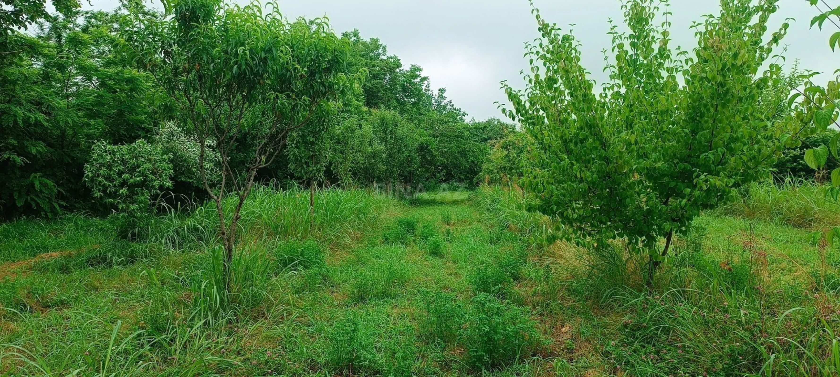 Satılır torpaq sahəsi 150 m²