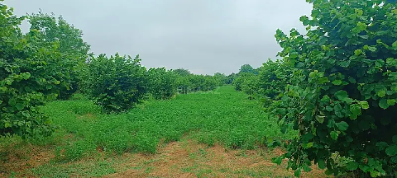 Satılır torpaq sahəsi 150 m²