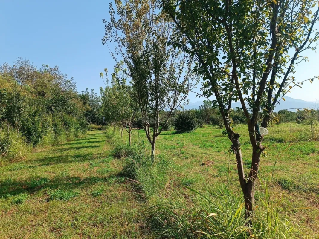 Satılır torpaq sahəsi 150 m²