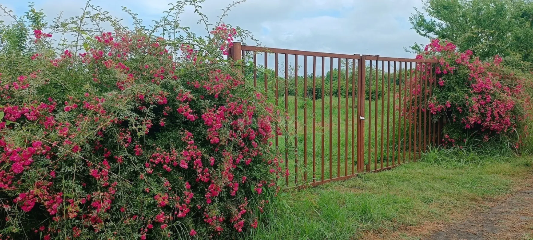 Satılır torpaq sahəsi 150 m²