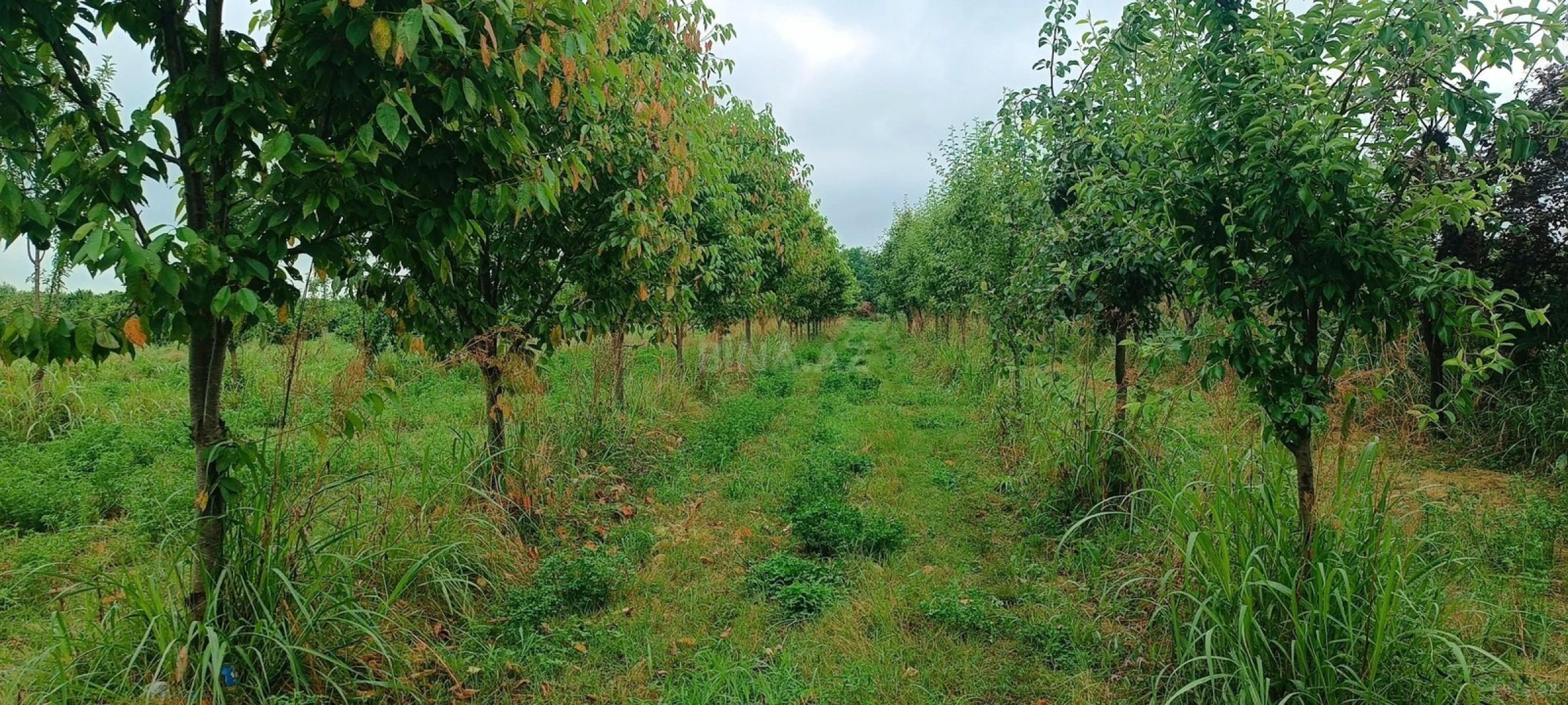 Satılır torpaq sahəsi 150 m²