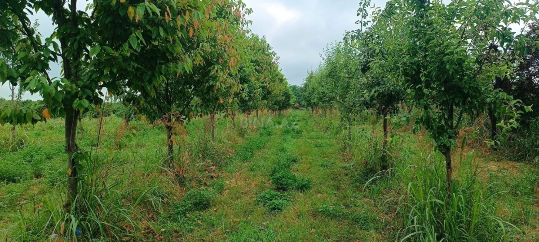 Satılır torpaq sahəsi 150 m²