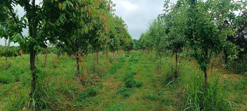 Satılır torpaq sahəsi 150 m²