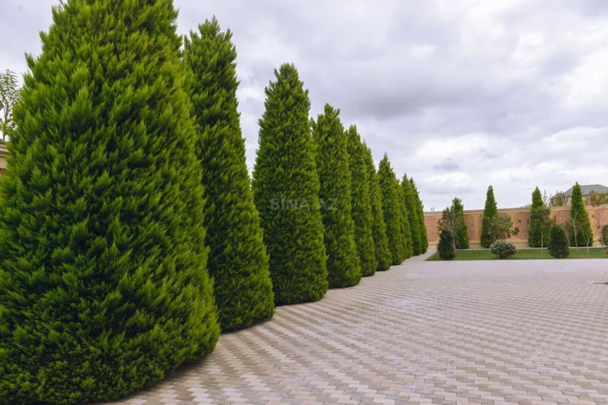 Kirayə verilir 7 otaqlı həyət evi 250 m²