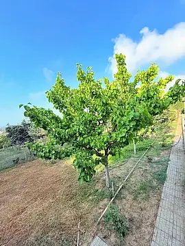 Kirayə verilir 6 otaqlı həyət evi 360 m²