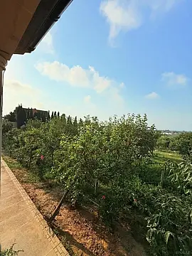 Kirayə verilir 6 otaqlı həyət evi 360 m²