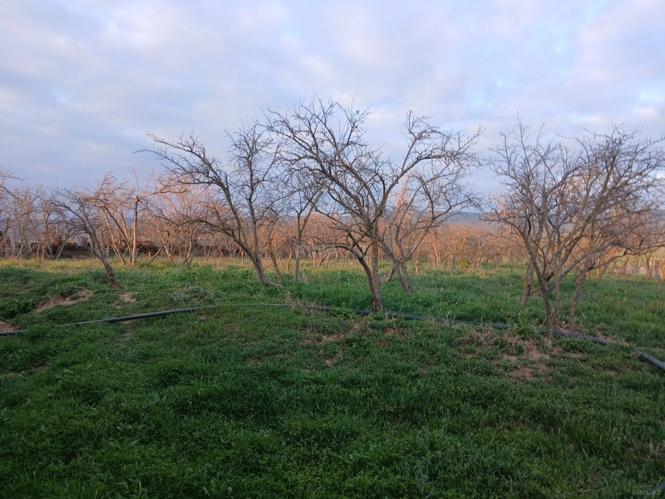 Satılır 6 otaqlı həyət evi 90 m²