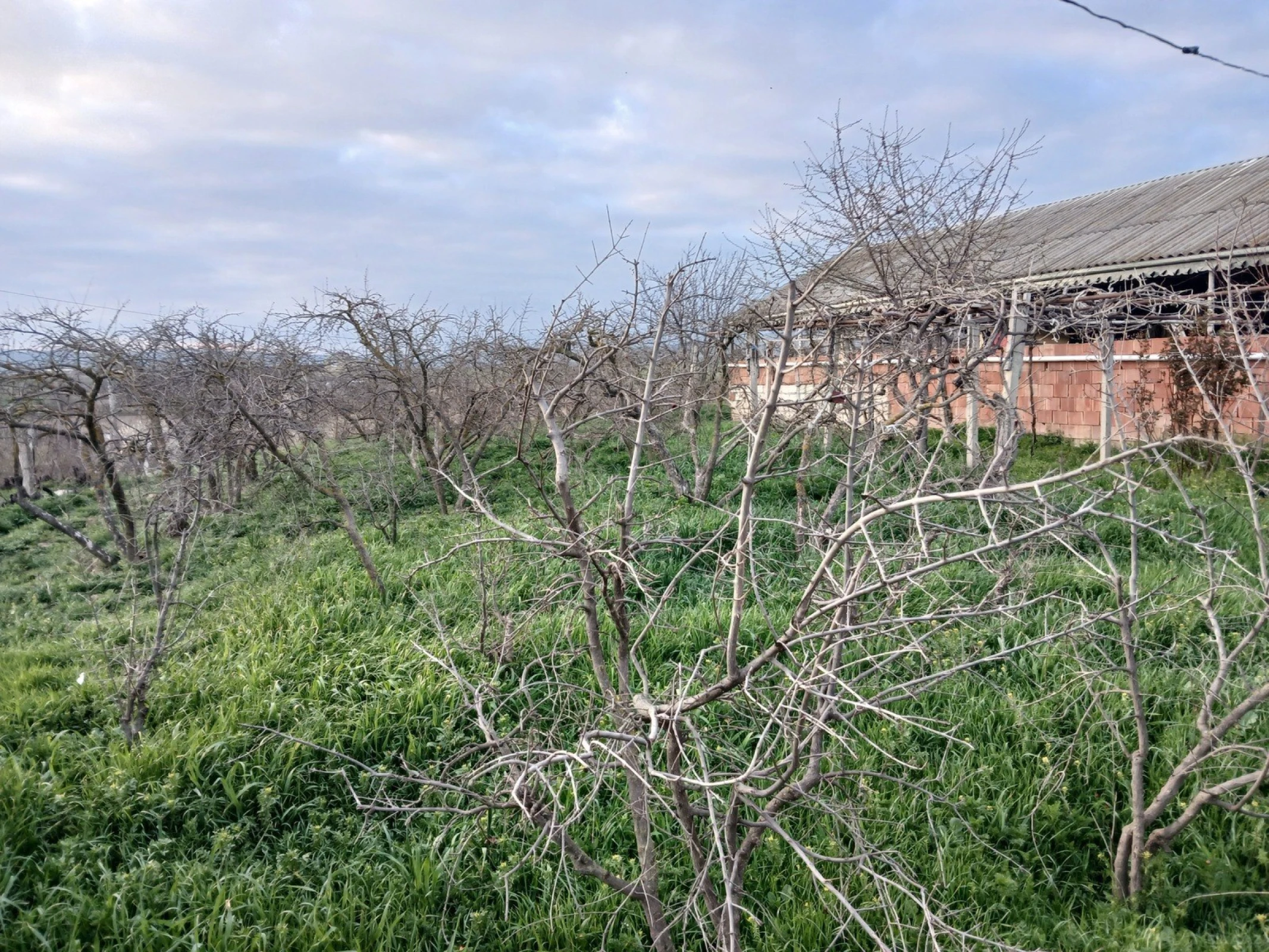 Satılır 6 otaqlı həyət evi 90 m²