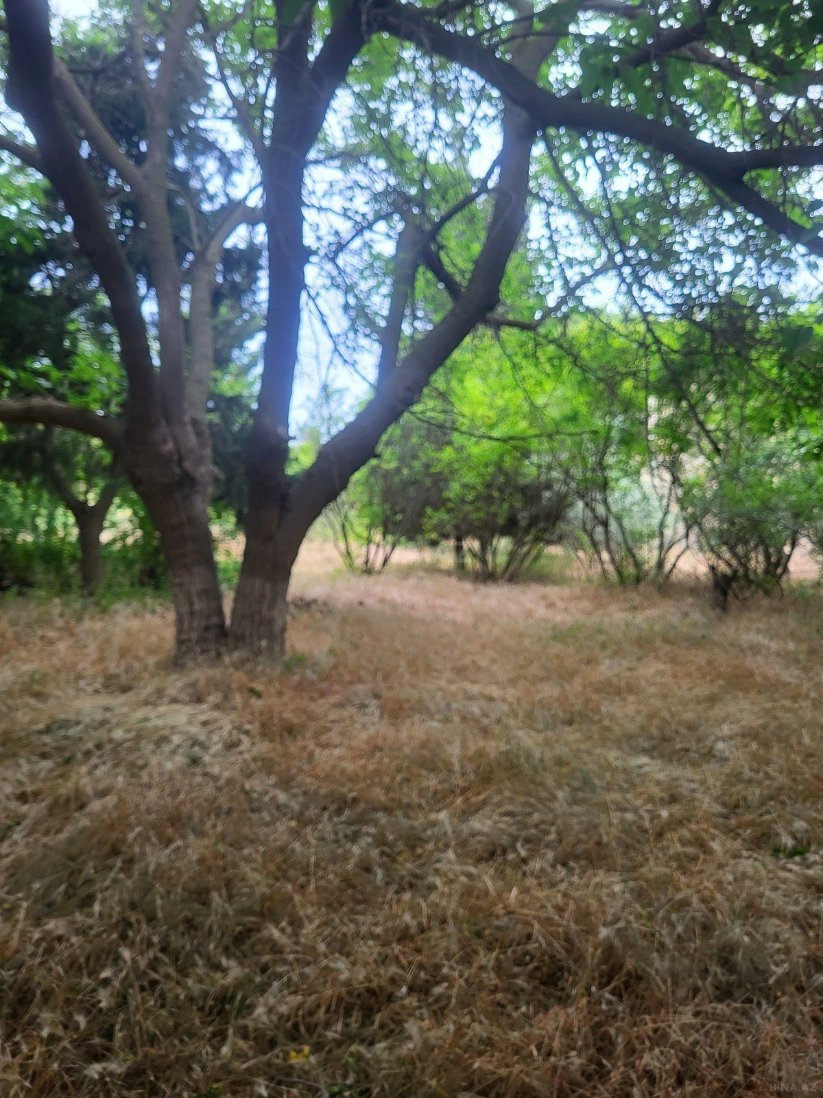 Satılır 6 otaqlı həyət evi 200 m²