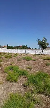 Satılır torpaq sahəsi 11 m²