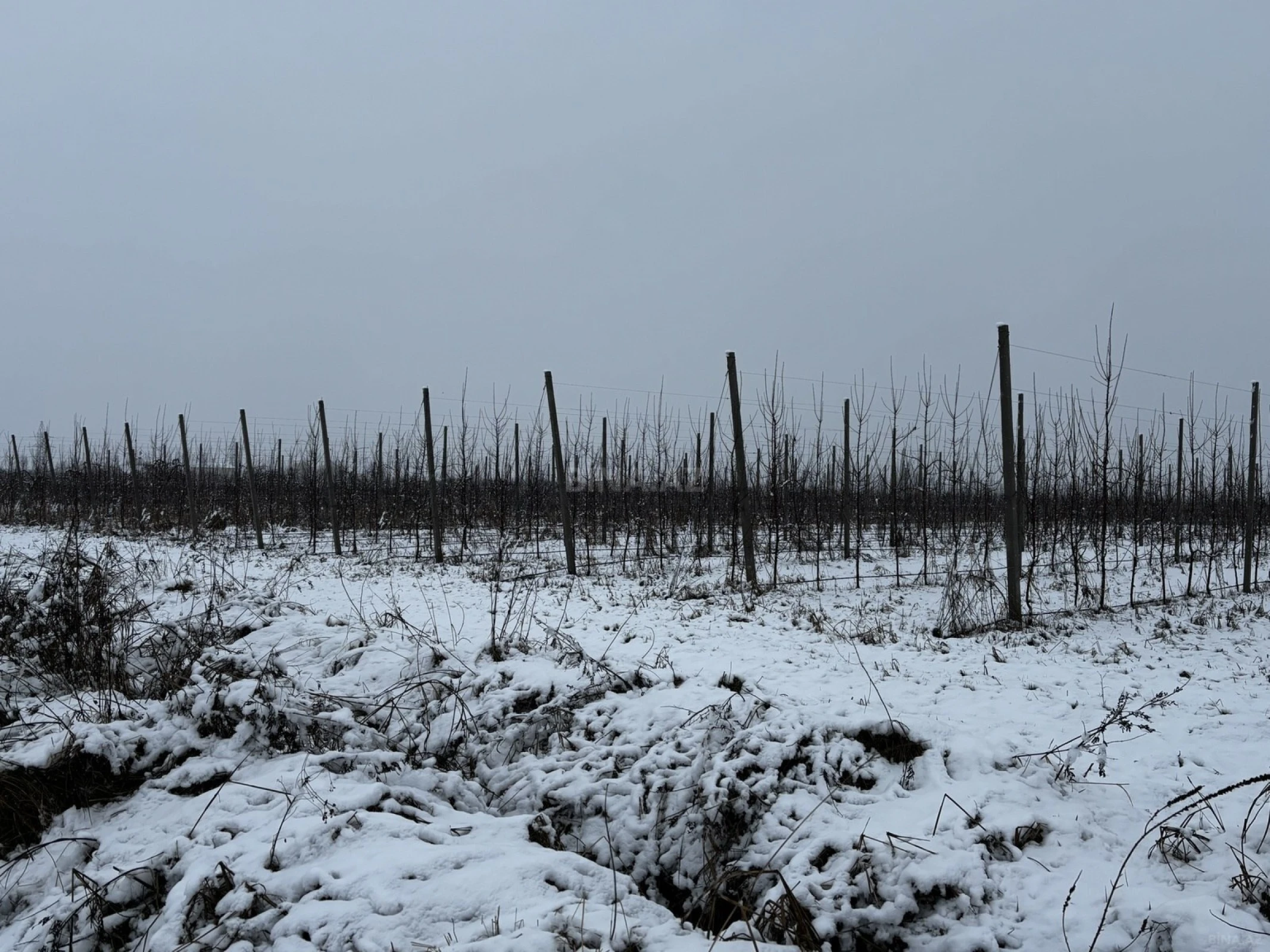 Satılır torpaq sahəsi 1400 m²