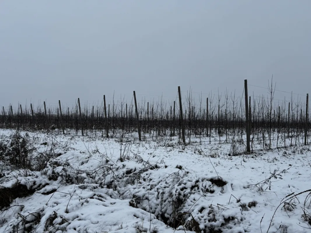 Satılır torpaq sahəsi 1400 m²