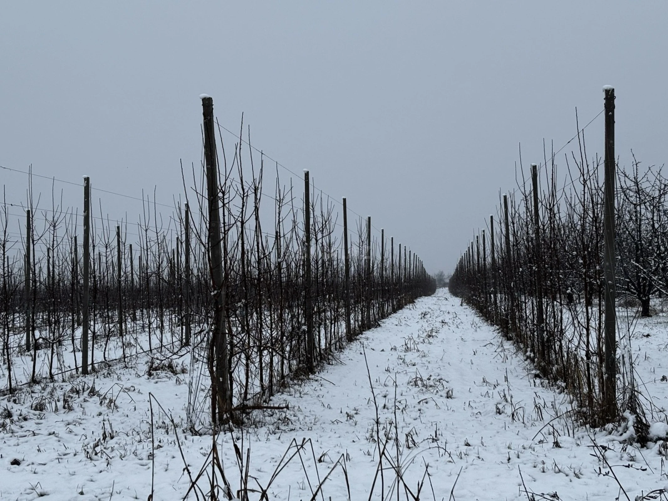 Satılır torpaq sahəsi 1400 m²