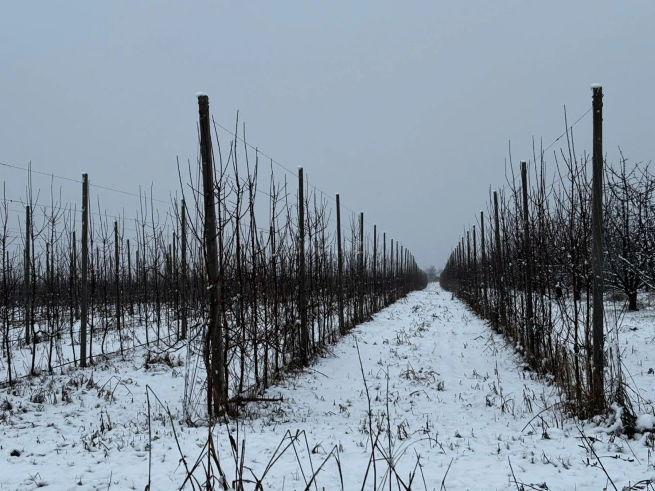 Satılır torpaq sahəsi 1400 m²