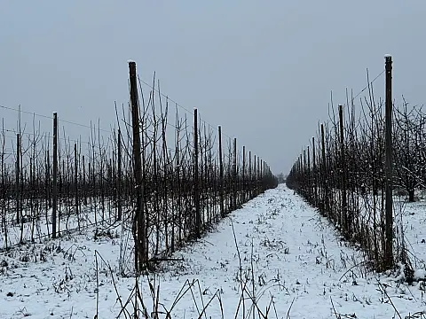 Satılır torpaq sahəsi 1400 m²