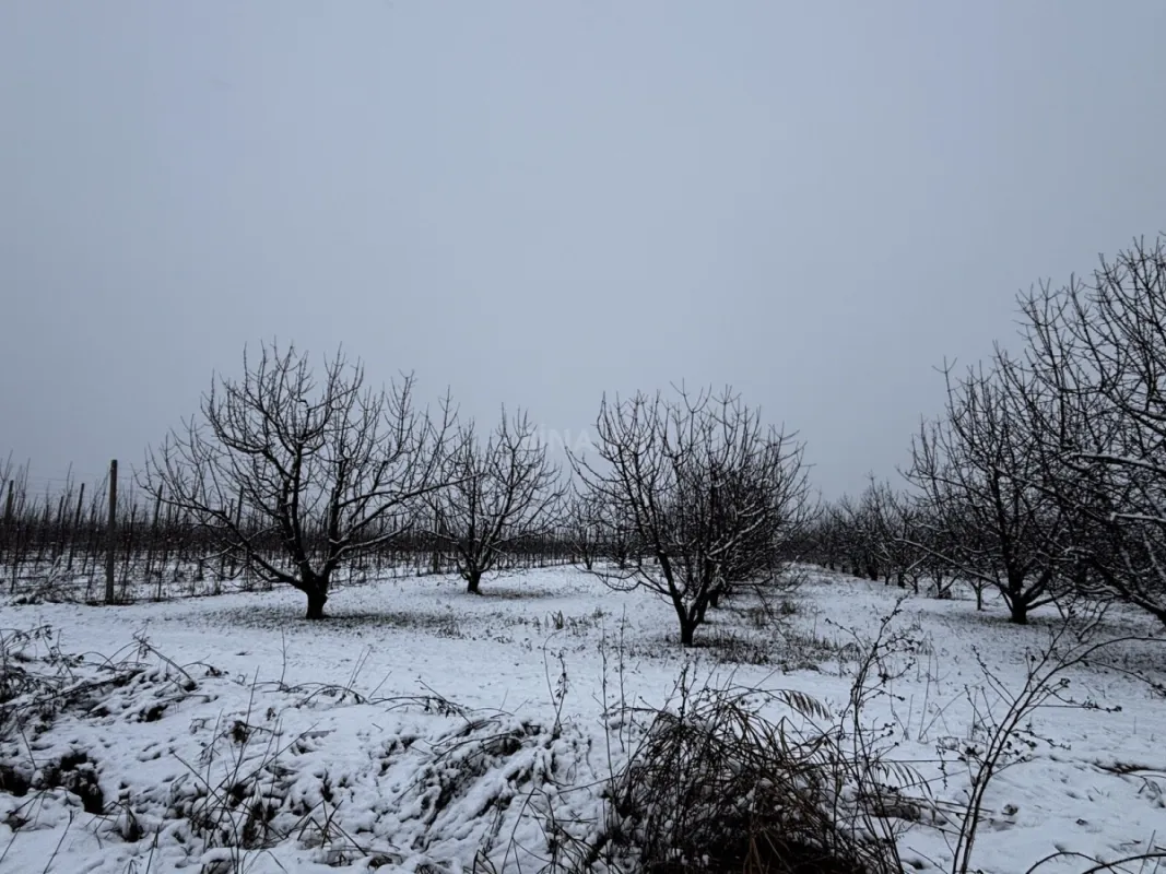 Satılır torpaq sahəsi 1400 m²