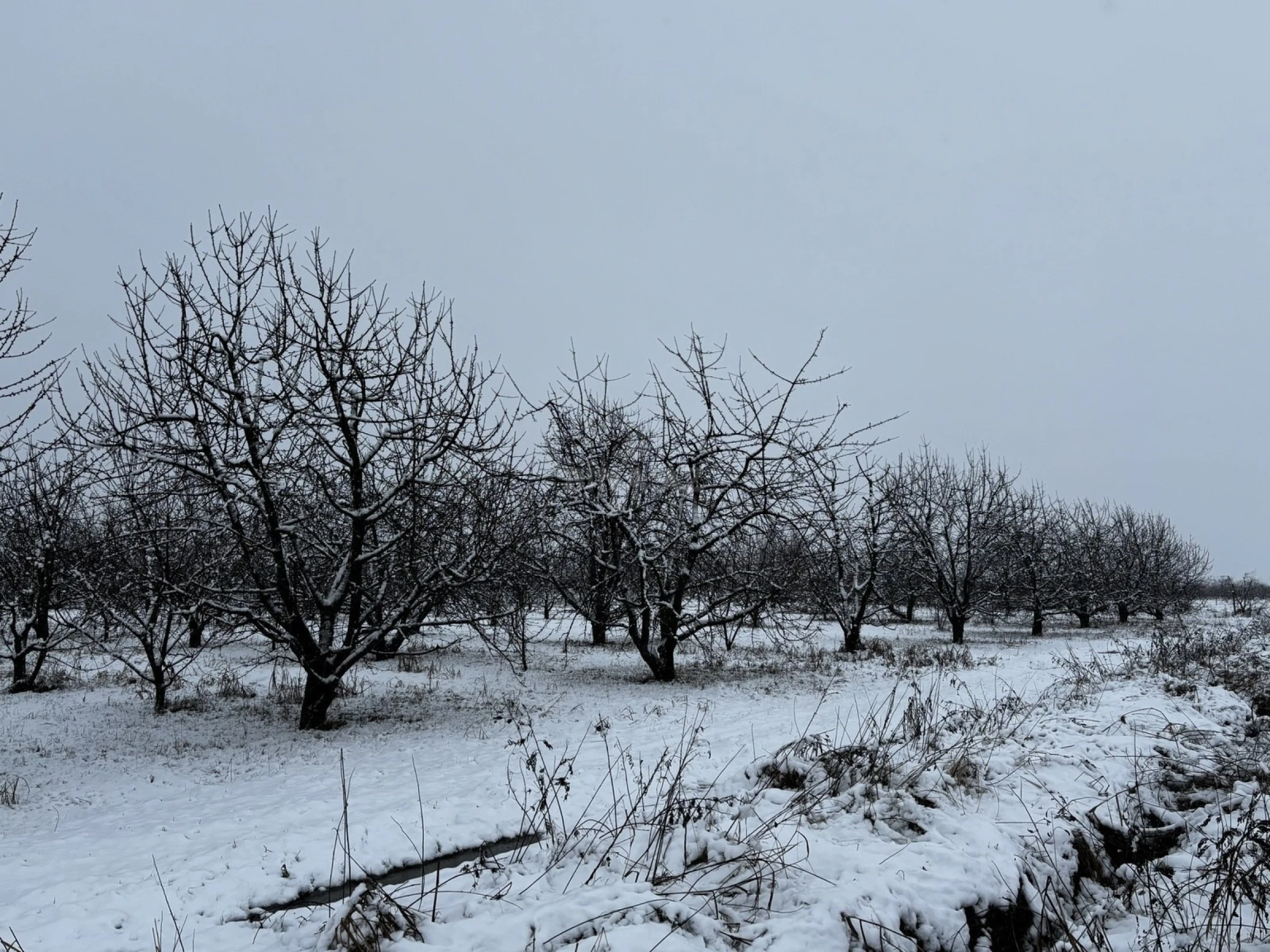 Satılır torpaq sahəsi 1400 m²