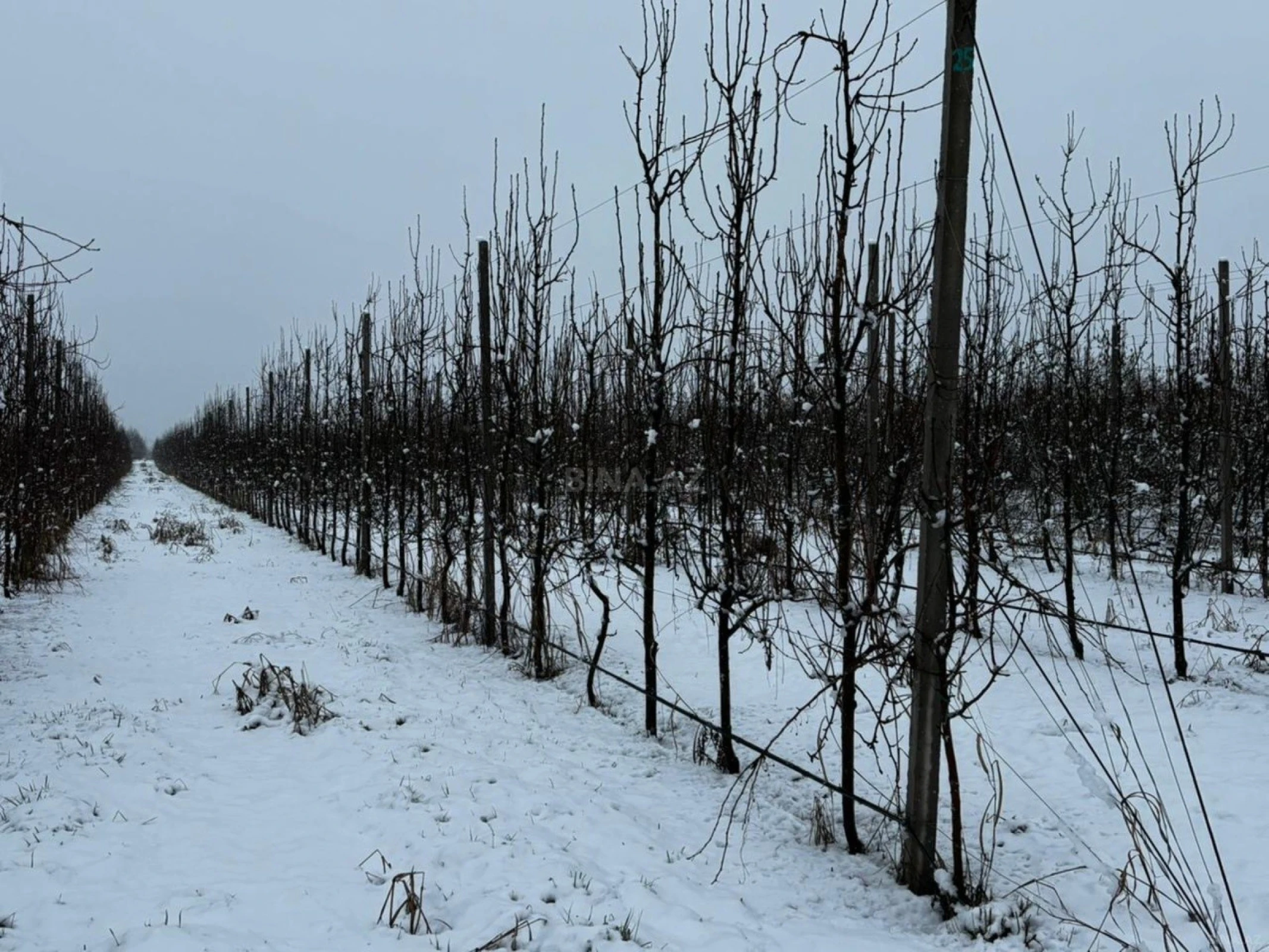 Satılır torpaq sahəsi 1400 m²