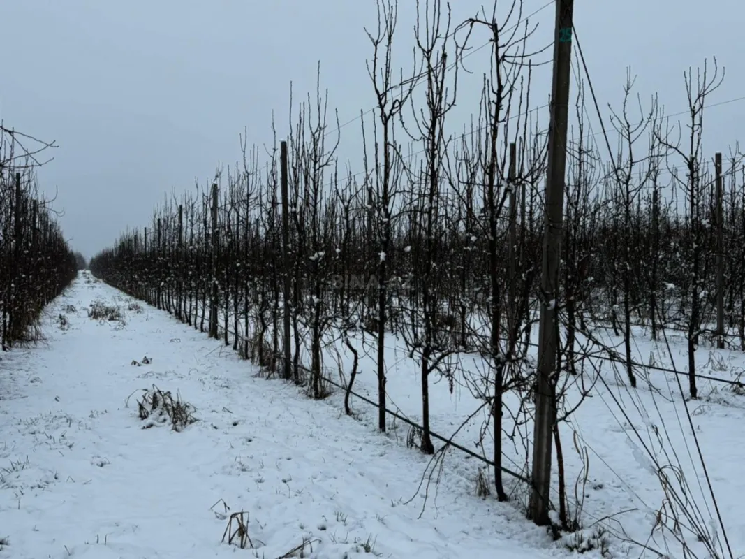 Satılır torpaq sahəsi 1400 m²