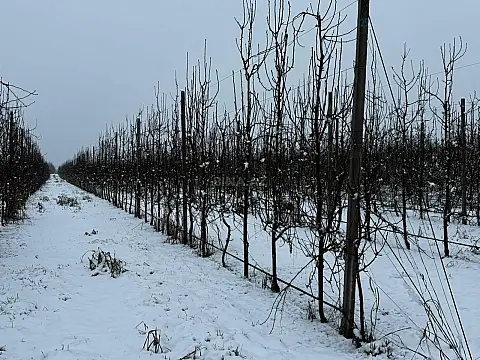 Satılır torpaq sahəsi 1400 m²