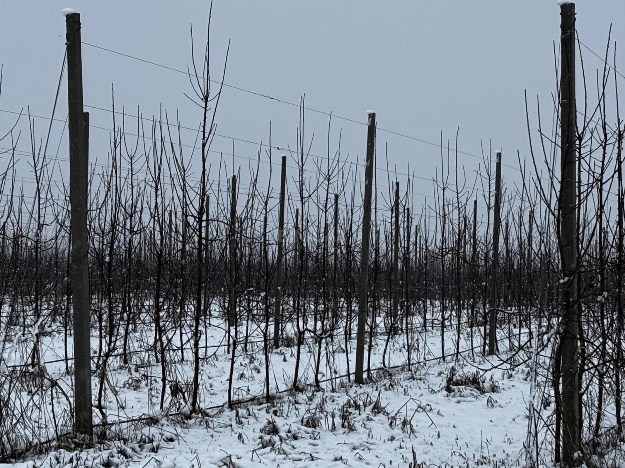 Satılır torpaq sahəsi 1400 m²