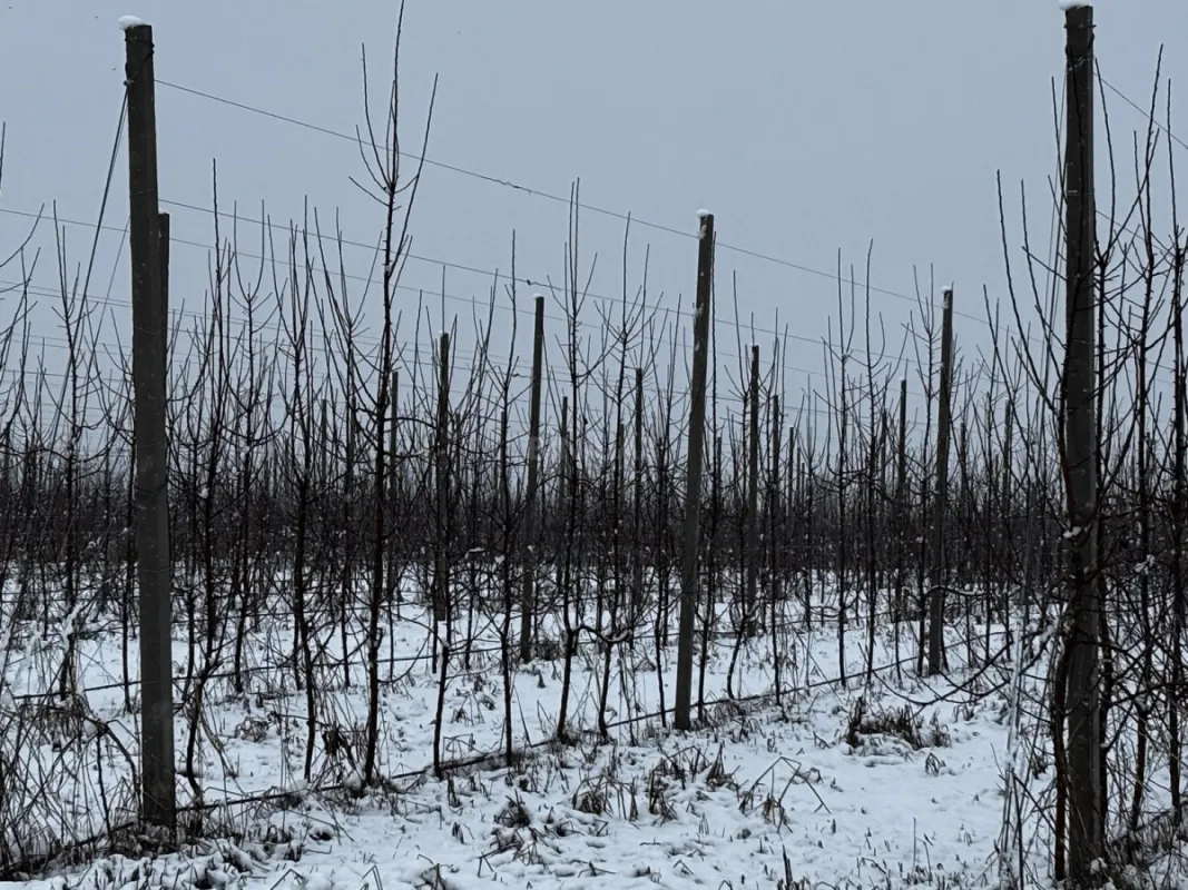 Satılır torpaq sahəsi 1400 m²