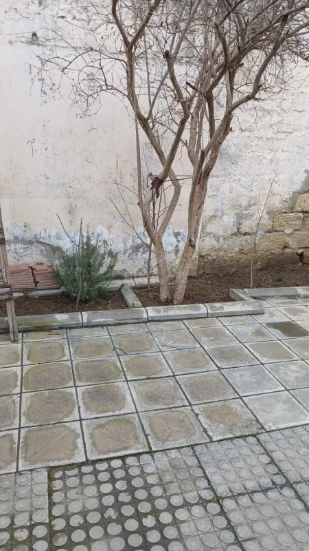 Satılır torpaq sahəsi 3 m²