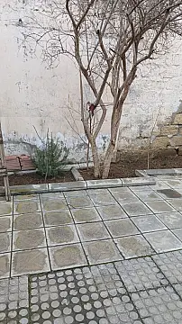 Satılır torpaq sahəsi 3 m² — Bakı, Badamdar 3.00 m²