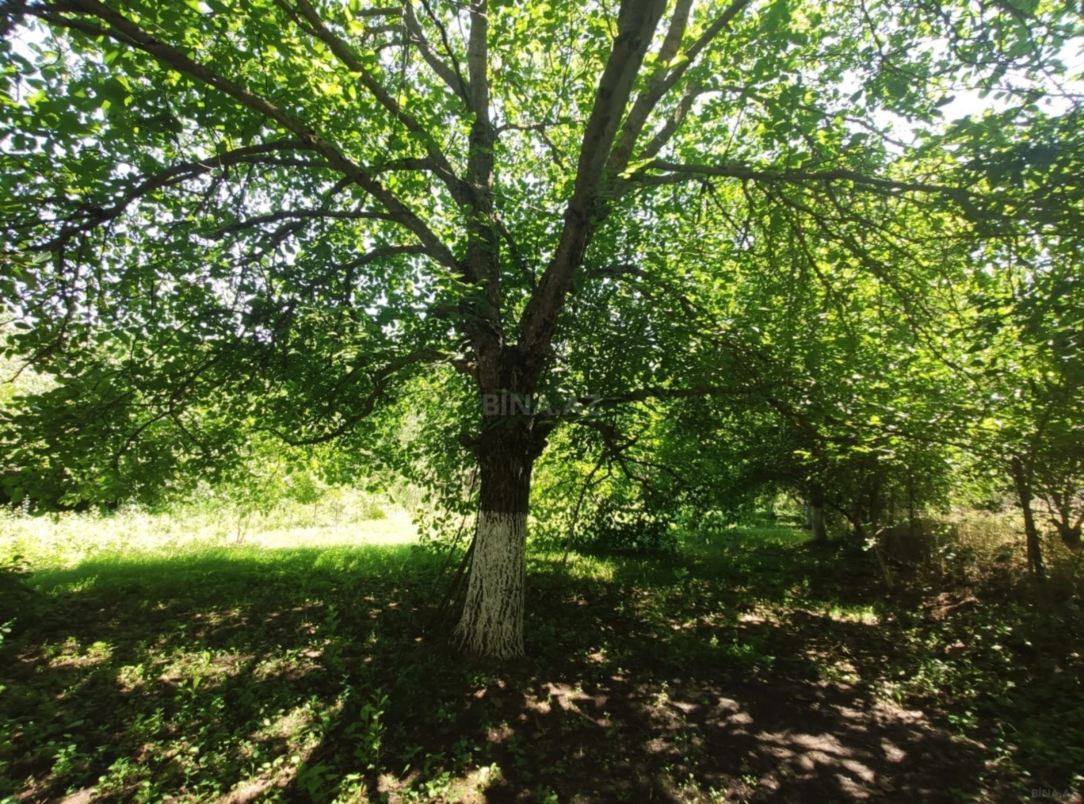 Satılır həyət evi 120 m²