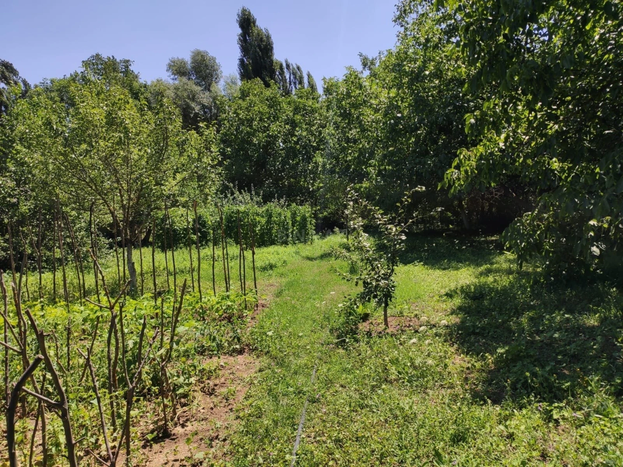 Satılır həyət evi 120 m²