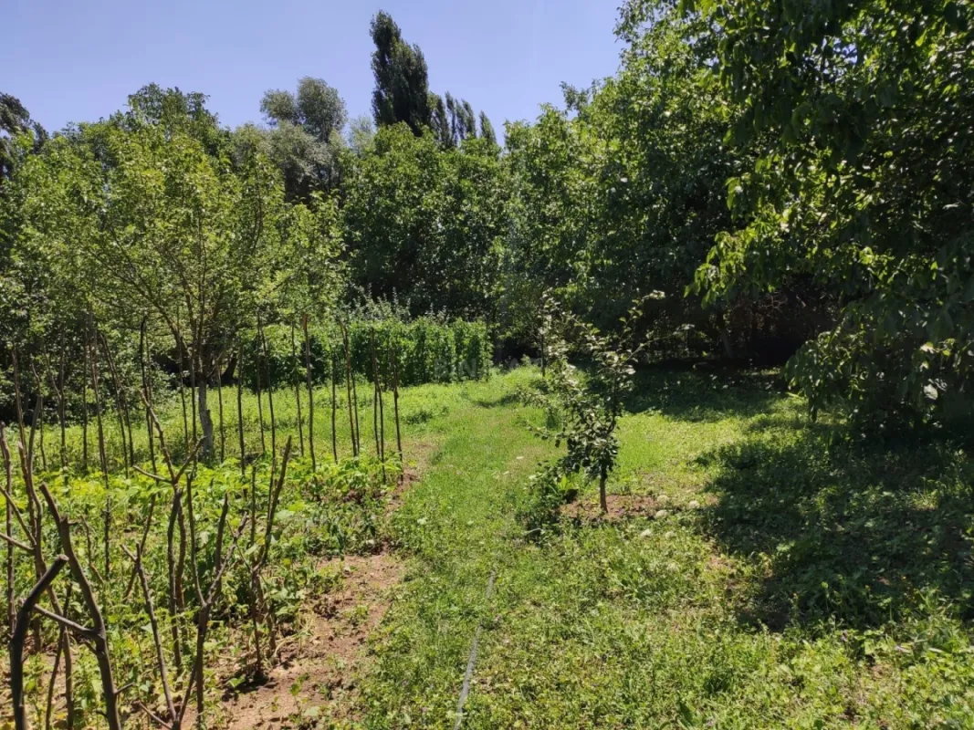 Satılır həyət evi 120 m²