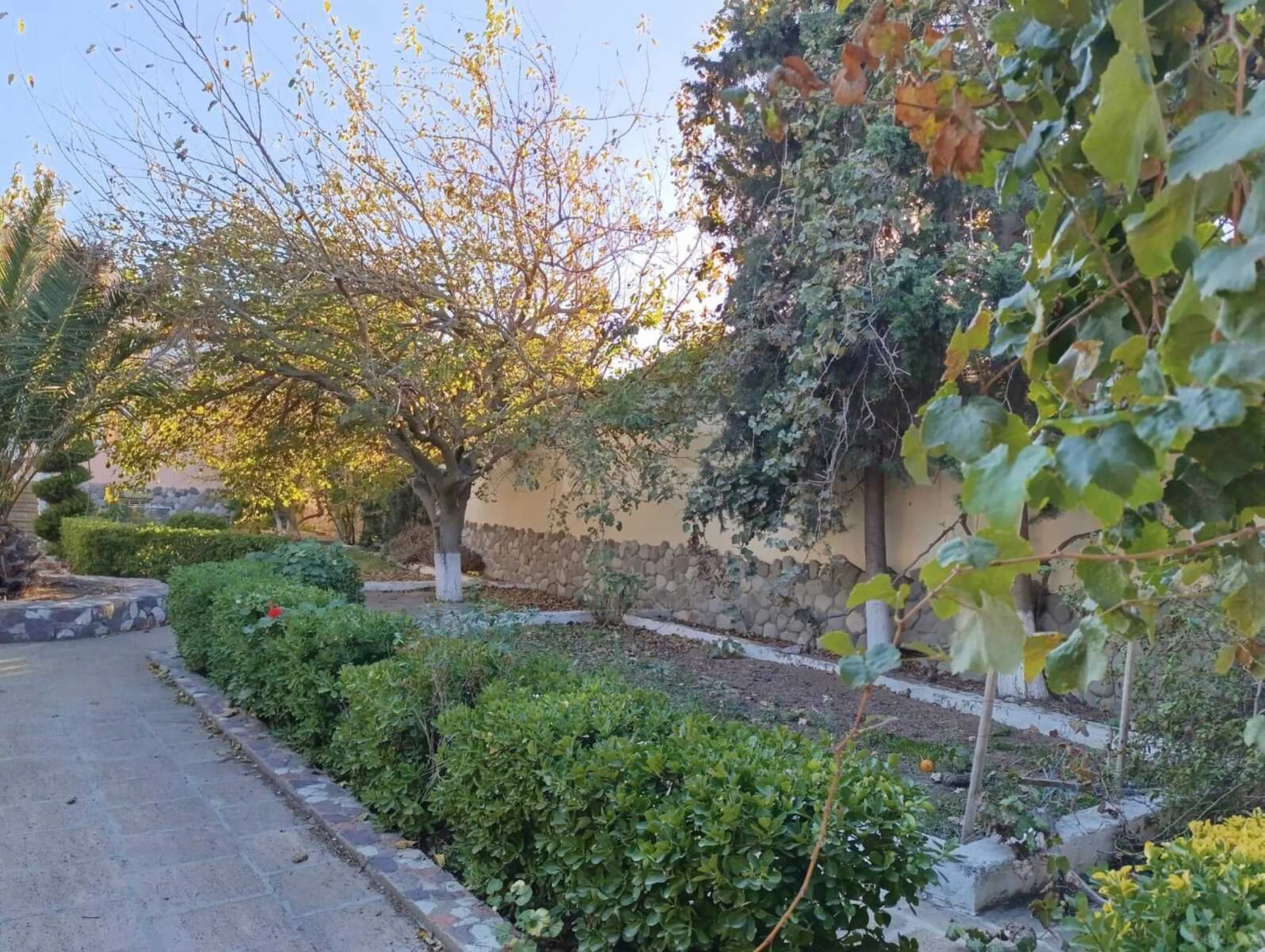 Kirayə verilir 4 otaqlı həyət evi 392 m²