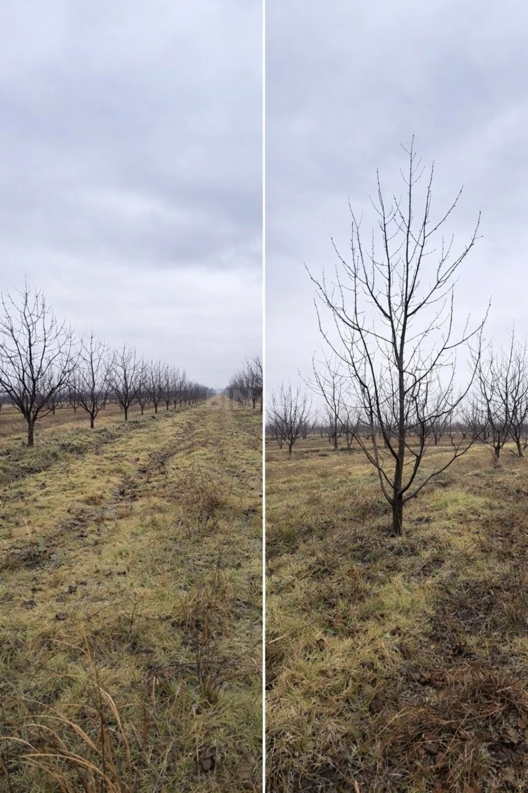 Satılır torpaq sahəsi 125 m²