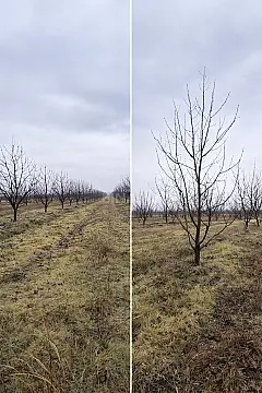 Satılır torpaq sahəsi 125 m²