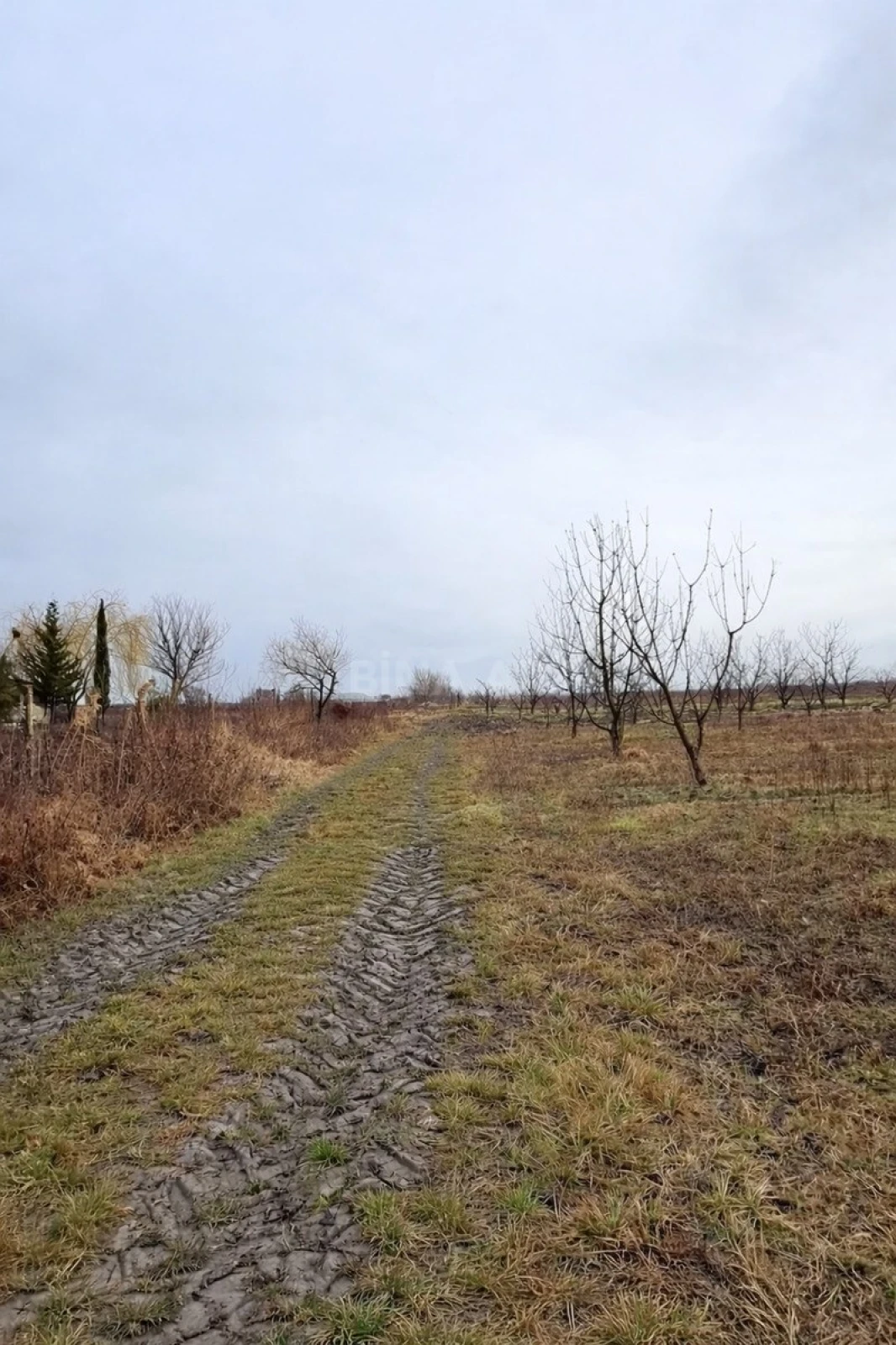 Satılır torpaq sahəsi 125 m²