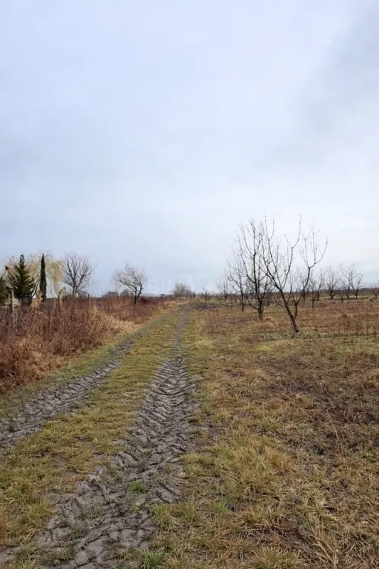 Satılır torpaq sahəsi 125 m²